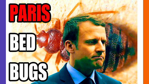 Bed Bugs Swarm Paris Ahead of The Olympics