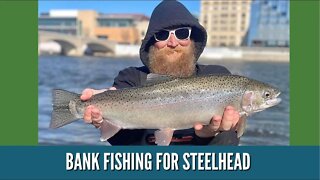 Bank Fishing For Steelhead / Steelhead Fishing Videos / Grand River Grand Rapids Michigan