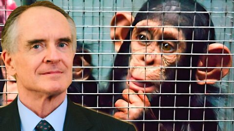 Jared Taylor || Chimpnapping: Baby Chimpanzees Abducted from Congo-based Sanctuary