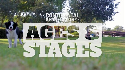 Canine Ages & Stages™ Puppy Training Trailer