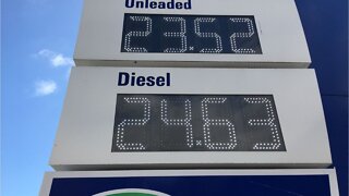 Fuel Price Reaction - Vusi Adonis