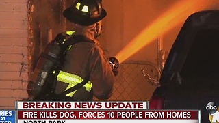 Fire kills dog, forces 10 people out of their homes