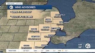 Wind Advisory in effect for southeastern Michigan