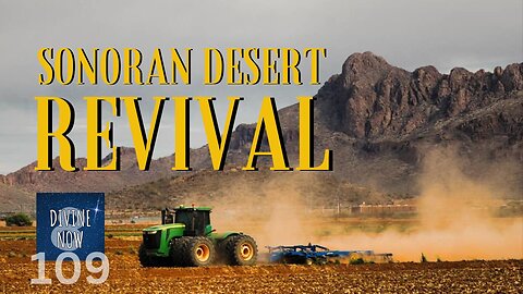 Sonoran Desert Revival