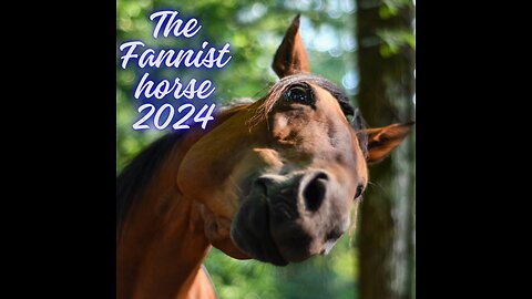 The best fanniest horse viral 2024