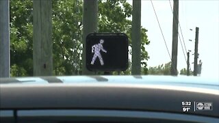 Fatal Hit and Runs on the rise in Tampa Bay