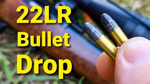 22LR Bullet Drop - Demonstrated and Explained