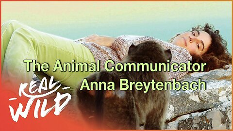Reactivating the Blueprint of Our Natural Brains -- The Animal Communicator