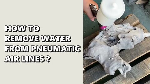 How to remove moisture from pneumatic system by Lematec air water separator filter for air tools