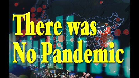 There was no Pandemic! A bold statement, yes, but first view the evidence, then judge.