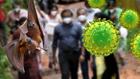 URGENT: Nipah Virus Ravages Kerala in 2023 - Critical Updates & Facts!