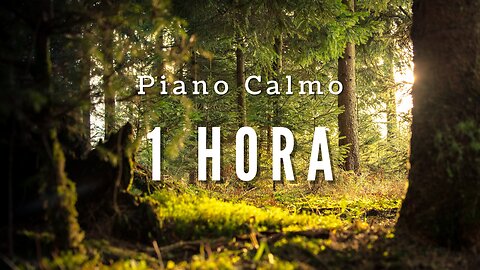 1H Piano Calmo | Calmaria Music | beautiful piano