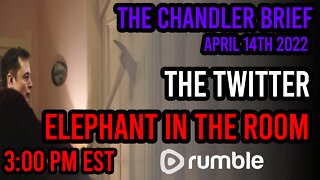 The Twitter ELONPhant - Chandler Brief