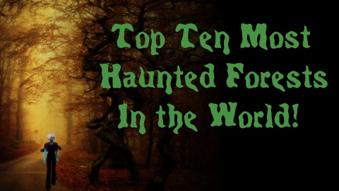 Top Ten Most Haunted Forests in the World You Shouldn't Visit