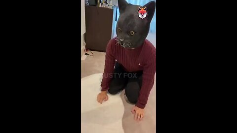 small cat fear by men doll big cat 😺 comedy videos of animals