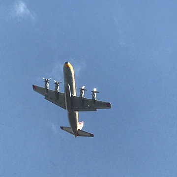 Planes fighting a forest fire