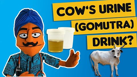 GOMUTRA(Cow urine) gli indiani bevono la piscia e mangiano lo sterco della sacra mucca(GOBAR=cow dung) abitualmente talmente venerano le mucche oltre a farsi gli idoli da adorare e adorare poi gli animali stessi come divinità