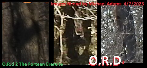 Bigfoot & Hooded Beings Are in the Trees