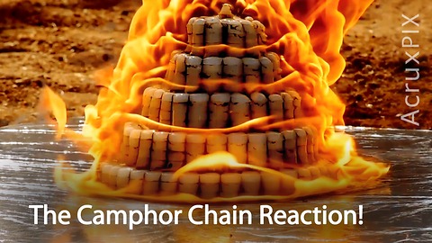 The Camphor Chain Reaction!