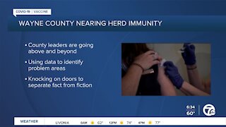 Tackling vaccine hesitancy in Wayne County