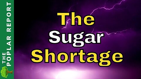 Prices EXPLODE Upward As Sugar SHORTAGE BEGINS | What YOU Need To Know