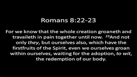 Memesplanation Romans 8:22-23