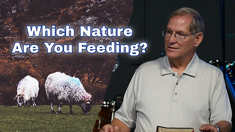 "Which Nature Are You Feeding?" - Ephesians #10