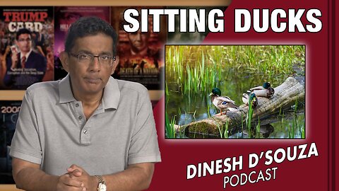 SITTING DUCKS Dinesh D’Souza Podcast Ep558