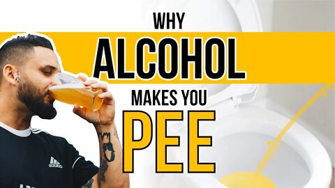 Why Does Alcohol Make You Pee?