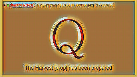 Q November 16, 2019 – The Harvest