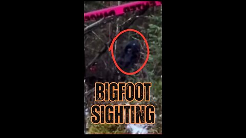 🌲👣 Bigfoot Caught on Camera: Unbelievable Trail Cam Footage 📸