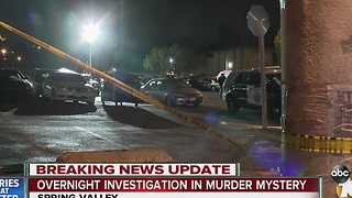 Overnight investigation in murder mystery