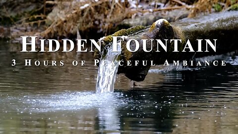 Rustic Moss-Covered Fountain in Ancient Forest | Serene Nature ASMR with Flowing Water Sounds