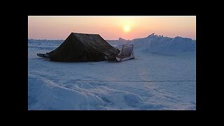 Voices of Three Arctic Whale Researchers