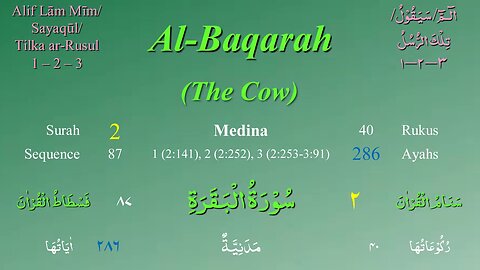 Surah Al Baqara with Tajweed by Mishary Al Afasy