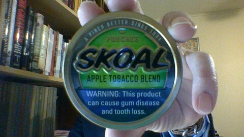 The Skoal Apple Tobacco Blend Pouches Review