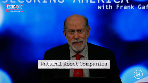 ALERT! The Financialization of Nature with Natural Asset Companies
