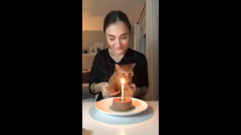 Senior Cat Celebrates His 13th Birthday