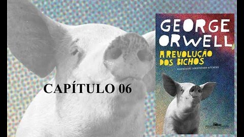A REVOLUÇÃO DOS BICHOS DE GEORGE ORWELL - CAPÍTULO 6