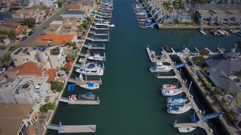 Blasian Babies DaDa Green Turtle Road Coronada Cays South San Diego Bay Skydio 2+ Drone View!