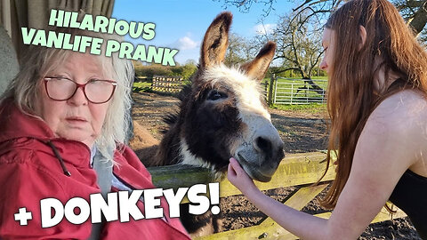 The Campsite Surprise and Donkeys | Jan Gets Pranked! #vanlife