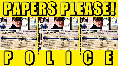 Cops Demand Papers So Business-Owner Pulls Tax Statement Out, C(r)ook County Repulsive Police