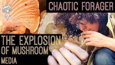 Chaotic Forager || Mycology, Ecosystems & the Explosion of Mushroom Media
