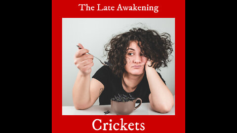 Crickets | Episode 18 | The Late Awakening Comedy Podcast