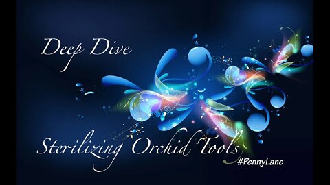 DEEP DIVE - STERILIZE your ORCHID TOOLS - How To, the EASY, EFFICIENT and NO FUSS way! #PennyLane