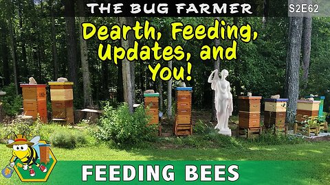 Feeding Bees During Dearth, Feeding, Updates,& You -Beekeeping during dearth - feeding during dearth