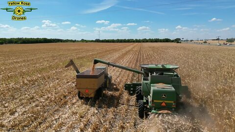 Using a Drone to Watch a Farmer Harvesting a Cornfield During Drought Season