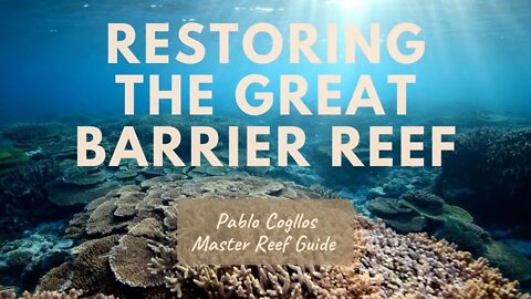 Steps to Restore the Great Barrier Reef!