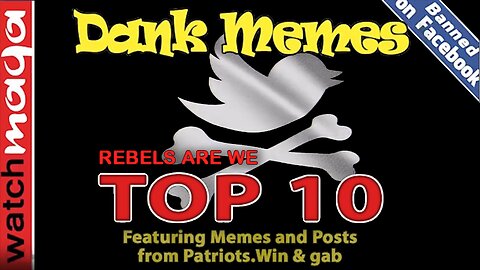 Rebels Are We: TOP 10 MEMES