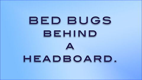 Bed Bugs - a search and a look behind a headboard